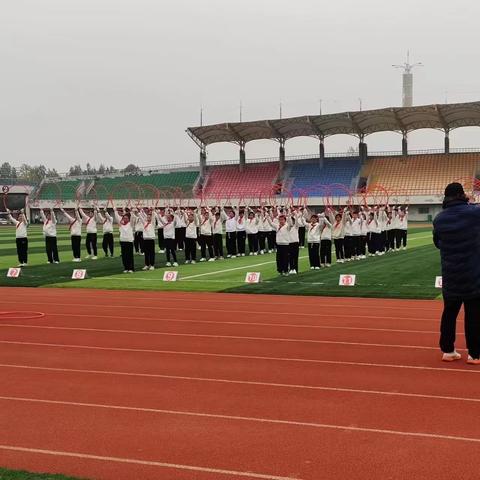 谷营镇齐场小学一周工作纪实