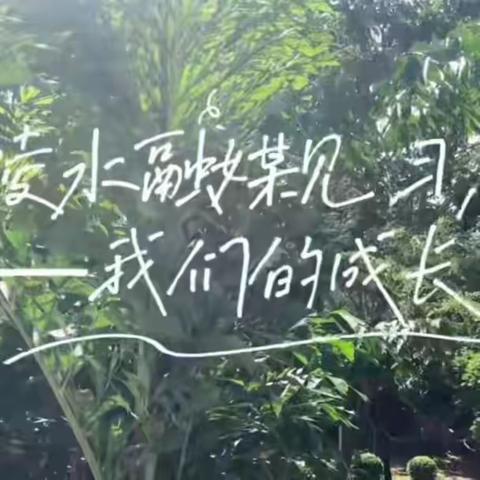 网媒见习总结（6）：镜头捕帧，文字落笔——实践镌刻成长轨迹