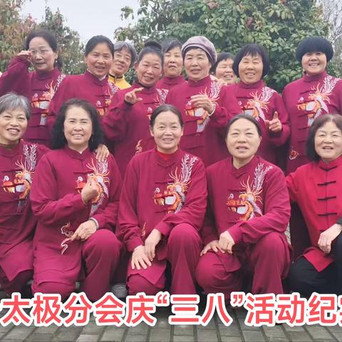 大沙太极分会庆“三八”妇女节活动纪实