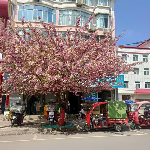 溪我往逸学习《孙子兵法二》