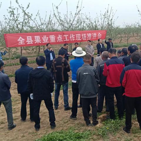 春日培训进果园  技能提升促发展