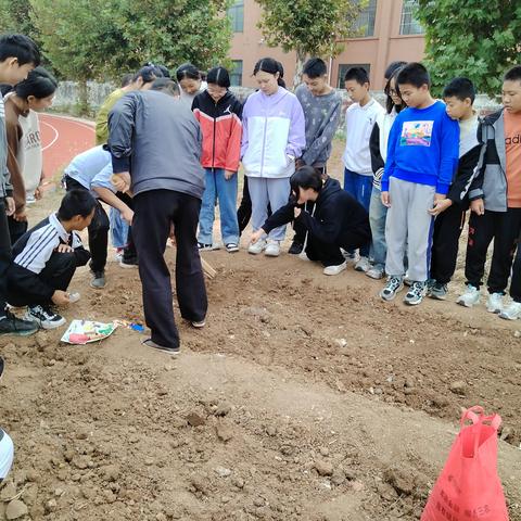 蔬香为伴，勤满校园 ——邹城市古路口中学“蔬香萌地”菜园劳动纪实（种植维护篇）