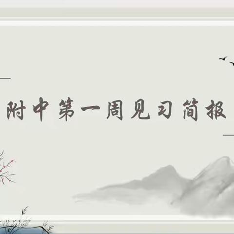 浙师大附中第一周见习简报