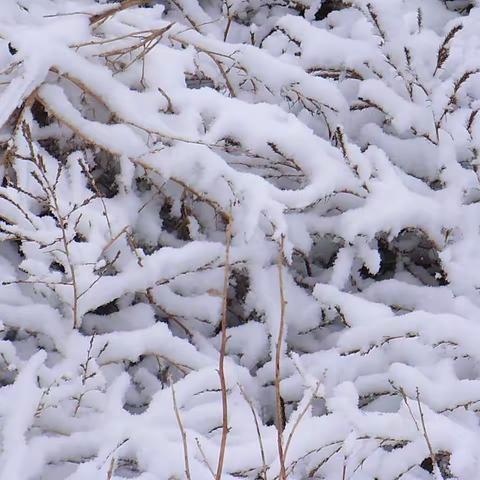 爱心守望与风雪同行