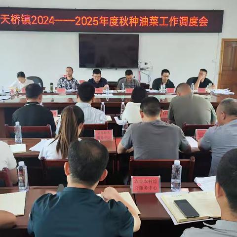 秋种不误农时   油菜育苗正忙