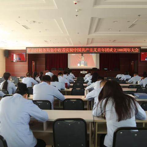 红山区税务局组织青年理论小组集中学习观看庆祝中国共产主义青年团成立100周年大会