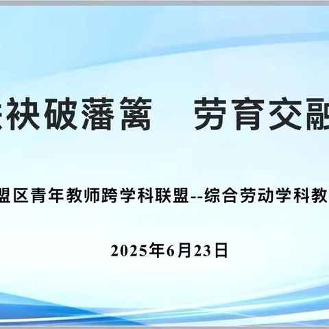 青衿联袂破籓篱 劳育交融绽锦章——第四联盟区青年教师跨学科综合劳动学科教研活动纪实