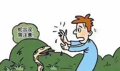 校园安全知识——夏季防蛇指南篇