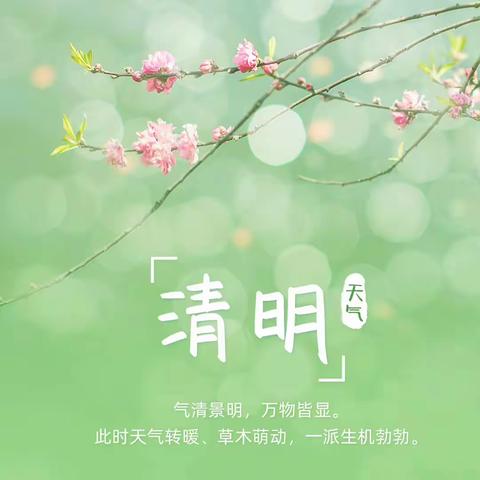 浓情清明，滋润童心——辛店镇中心幼儿园清明节活动