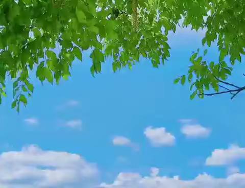 巧手匠心 创意无限——惠民县辛店学区自制玩教具展评