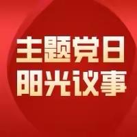 季家寨村开展“主题党日+阳光议事”活动