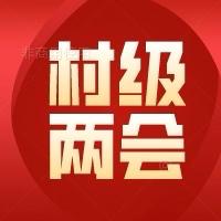 季家寨村召开村级“两会”