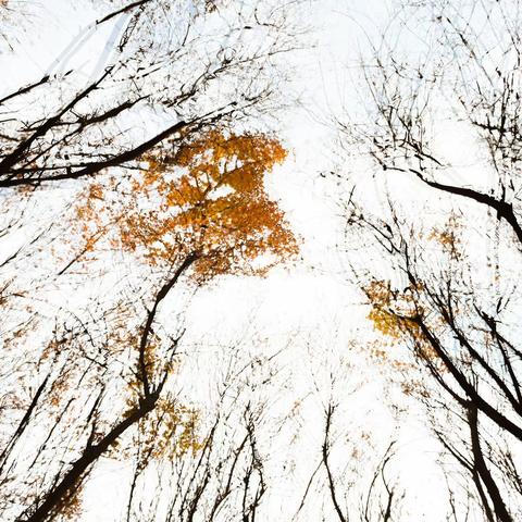 醉美偃师城 梦幻植物园