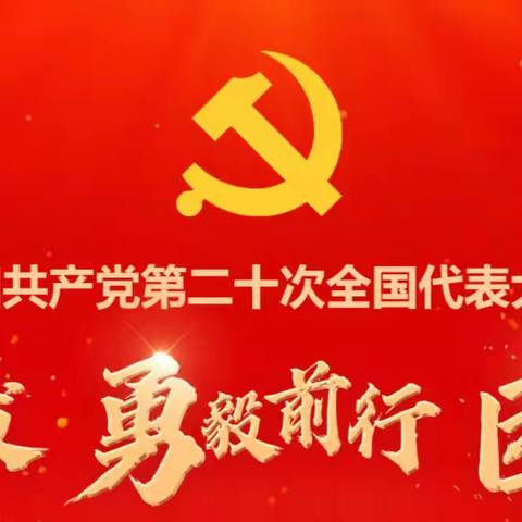 投资银行部（资产管理部）党支部深入学习贯彻党的二十大精神