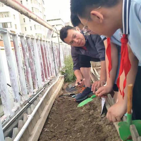 共庆劳动者之美 2026届致远二班五一劳动节实践活动：体悟田间劳动者
