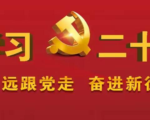 “学习二十大 奋进新征程”中共池州市贵池区乌沙镇驻常州党支部召开党员大会