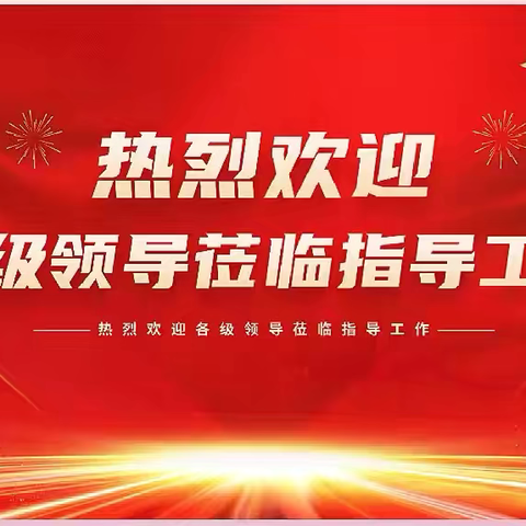 以“视”促教 以“导”提质 ——三亚市南海学校迎接吉阳区视导交叉检查活动纪实