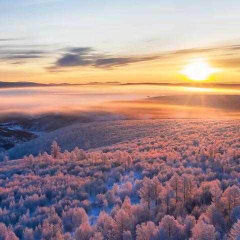 冰雪边境&冬摄阿尔山