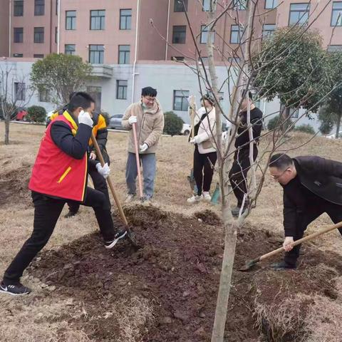 新年添新绿，种出新气象