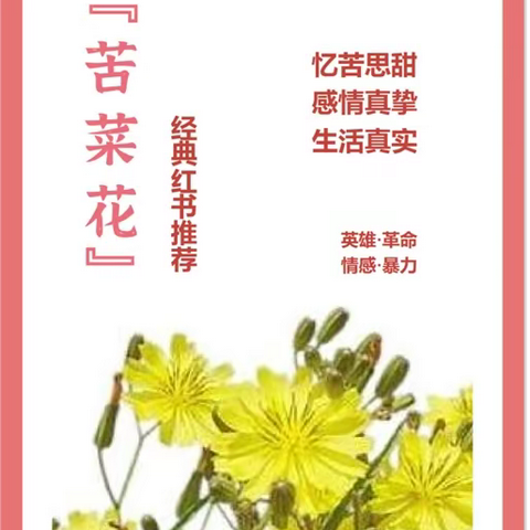 红色经典作品《苦菜花》推荐