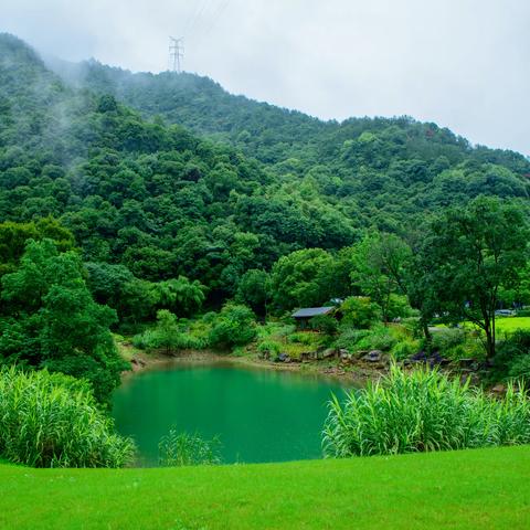 富阳桐庐千岛湖自由行1: D1 & D2