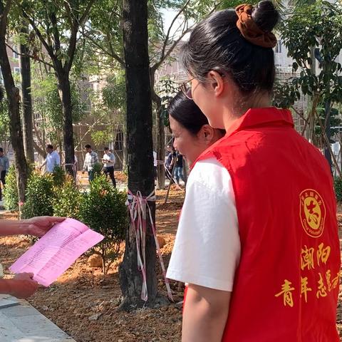 团西胪镇委开展绿美广东青年行专项志愿服务活动