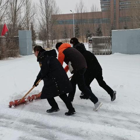 张家口市生态环境局塞北分局开展兔年第一场扫雪行动