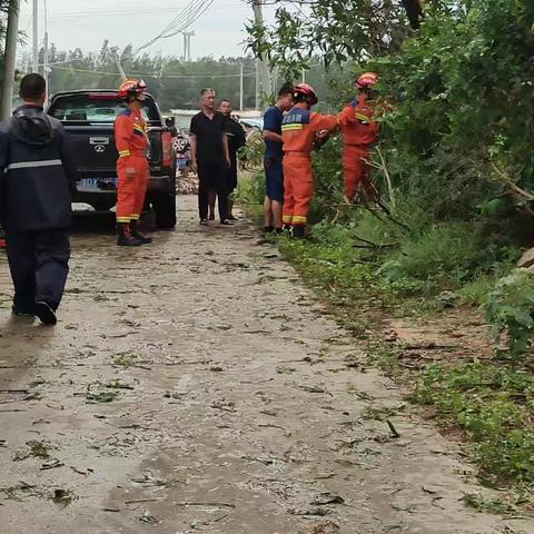 “摩羯”过后，道达村全力以“复”