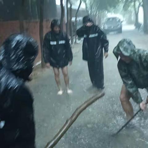 人大代表为人民，防汛防台显担当——新龙镇市、镇两级人大代表积极参与防御台风“摩羯”和灾后恢复工作