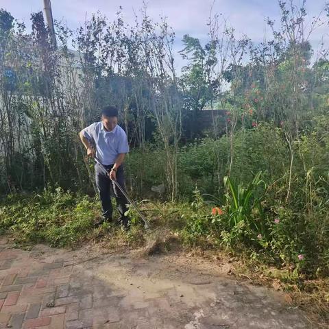 道达村开展“清洁家园、防蚊灭蚊”爱国卫生专项整治活动