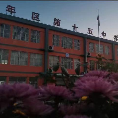 十五中：学习“三轨并行”靶向教学，助力2.0整校推进