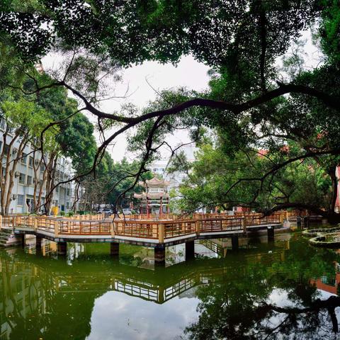 追风赶月莫停留，平芜尽处是春山——百色市右江区第六初级中学第三周工作纪实