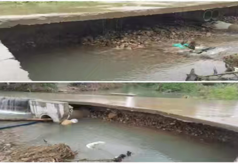 天安乡开展应急抢险加固漫水桥工作