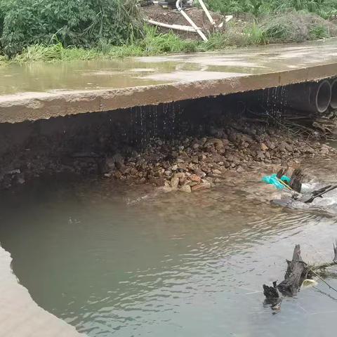 抢险一线，不辞万难——天安乡应急分队支援抢修陀类村涉危漫水桥纪实