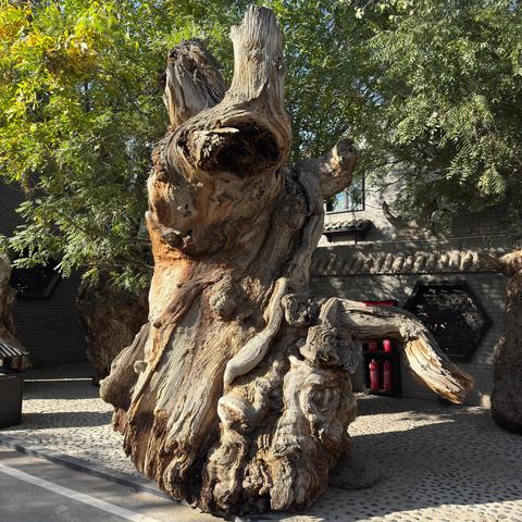 一诗一画（182）- 胡杨艺廊