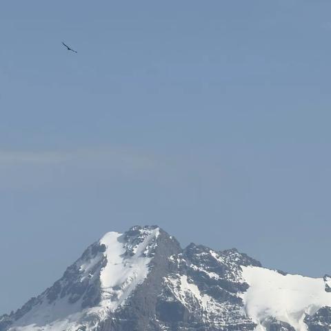 一诗一画（181）- 神山