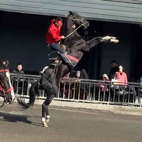 一诗一画（185）- 立马