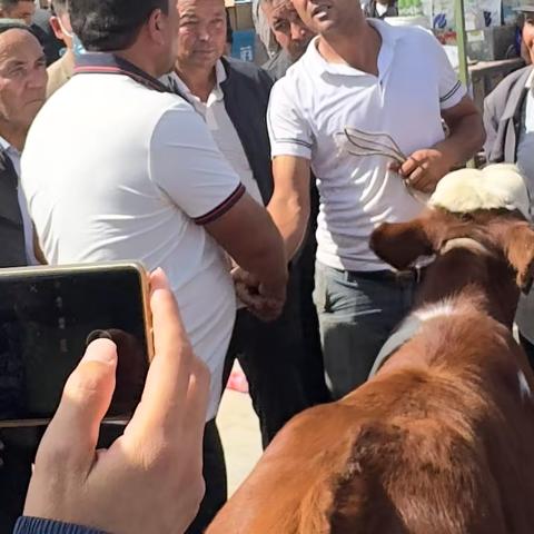 一诗一画（188）- 牛羊交易