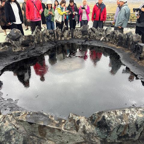 一诗一画（191）- 油泡