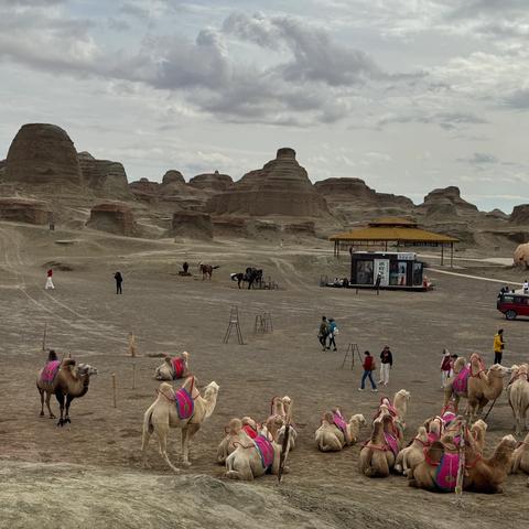 一诗一画（194）-  骆驼雅丹