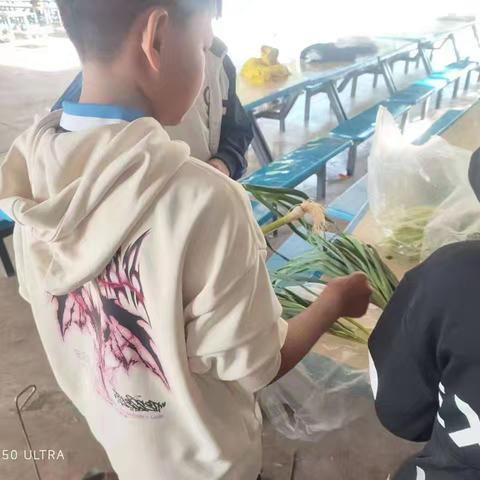 黄瓜园中学296班的厨艺大比拼：劳动实践活动揭秘！