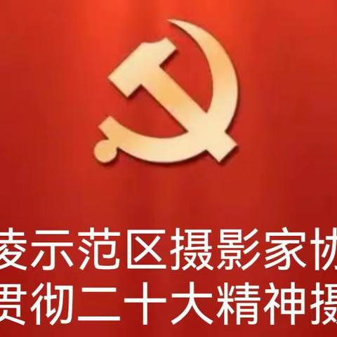 杨凌示范区摄影家协会学习贯彻二十大精神摄影展