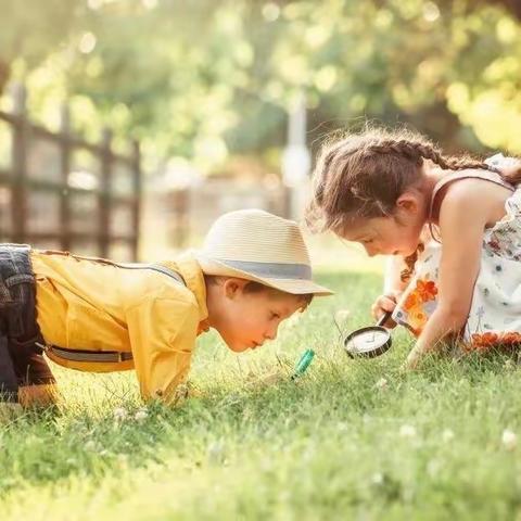 史蒂芬森海亮兰郡幼儿园小一班科学活动《有趣的昆虫》
