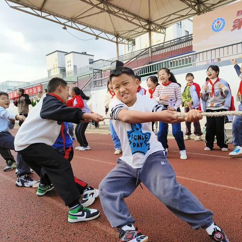 活力溢校园  运动展风采——碧阳小学运动会赛事集锦