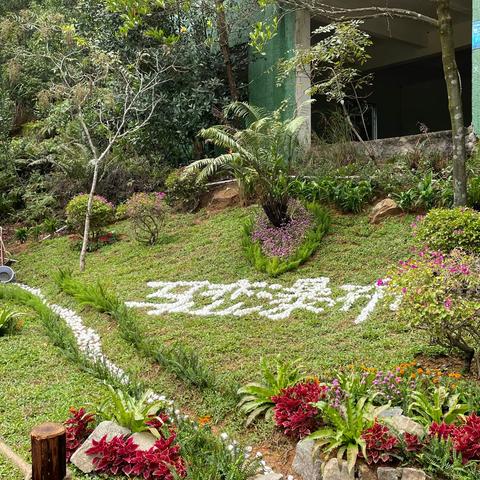 三洲田森林公园瀑布岗亭周边绿化提升施工日记