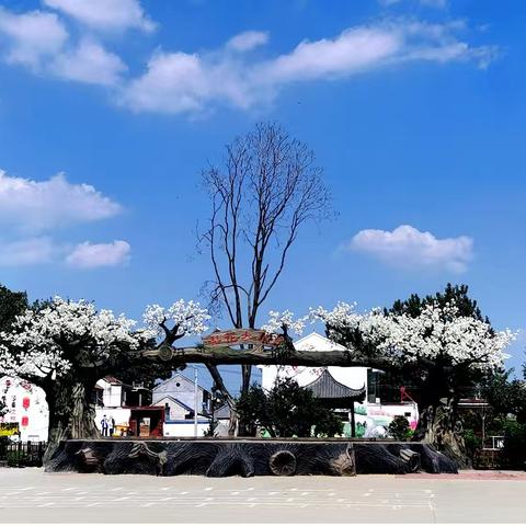 田园田庙•大美刘杨庄