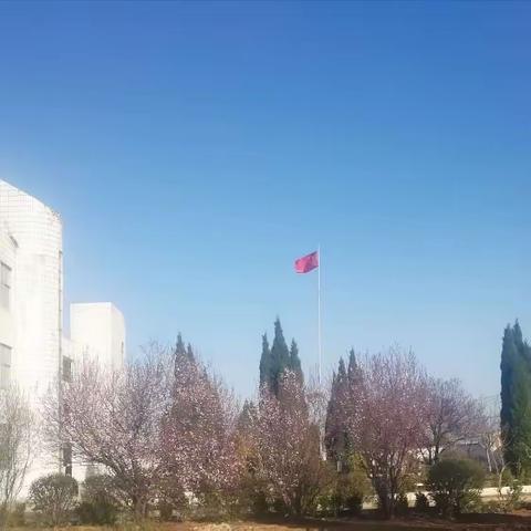 送庄镇朱寨小学“童心向党，快乐成长” —— 庆“六一”暨课后服务成果展演