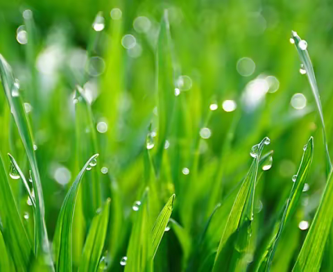 携手同行，为未来创造价值感和归宿感