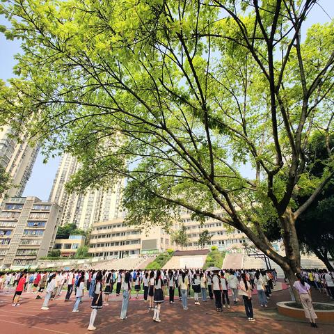 花开五月，一路芬芳！——小街子小学校第13周工作小记