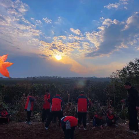 历经酷暑骄阳，静候一季丰收